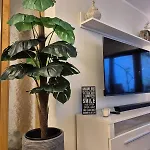 Uni- Und Citynahe Souterrain-wohnung Am Waldpark *