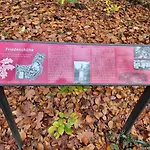 Uni- Und Citynahe Souterrain-wohnung Am Waldpark شقة وبرتال