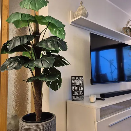 Uni- Und Citynahe Souterrain-wohnung Am Waldpark *