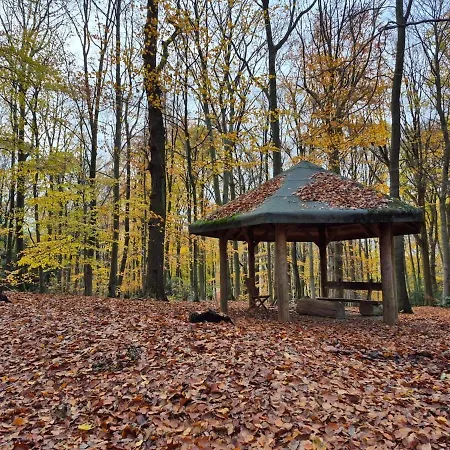 Uni- Und Citynahe Souterrain-wohnung Am Waldpark Apartament