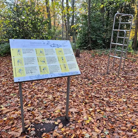 Uni- Und Citynahe Souterrain-wohnung Am Waldpark Wuppertal
