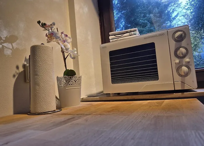 Uni- Und Citynahe Souterrain-wohnung Am Waldpark * Wuppertal