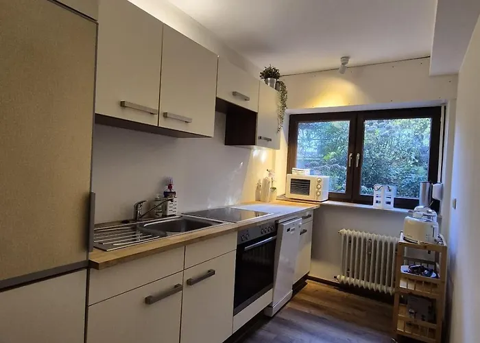 Uni- Und Citynahe Souterrain-wohnung Am Waldpark Wuppertal