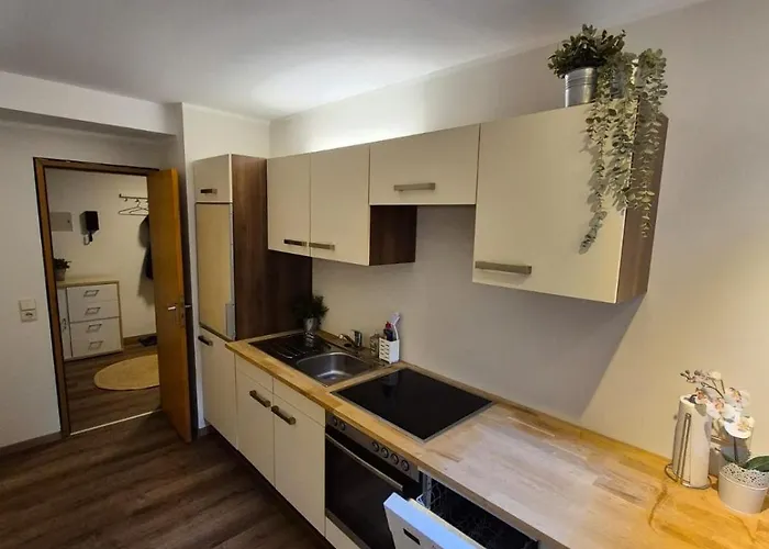 Uni- Und Citynahe Souterrain-wohnung Am Waldpark