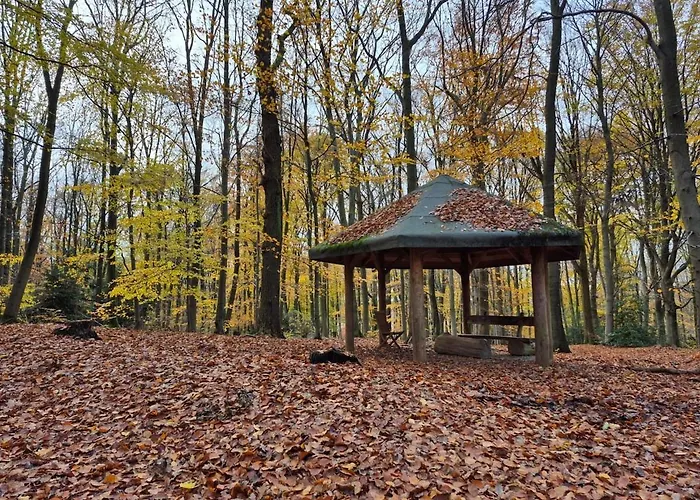 Uni- Und Citynahe Souterrain-wohnung Am Waldpark Apartament