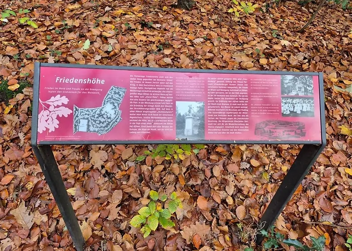 Uni- Und Citynahe Souterrain-wohnung Am Waldpark Appartement Wuppertal